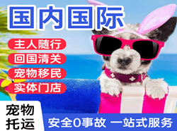 路桥航空运输国际宠物托运 【国